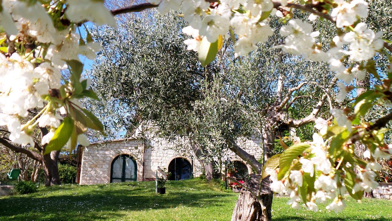 Bed and Breakfast Campo Del Mare Sirolo Exterior foto