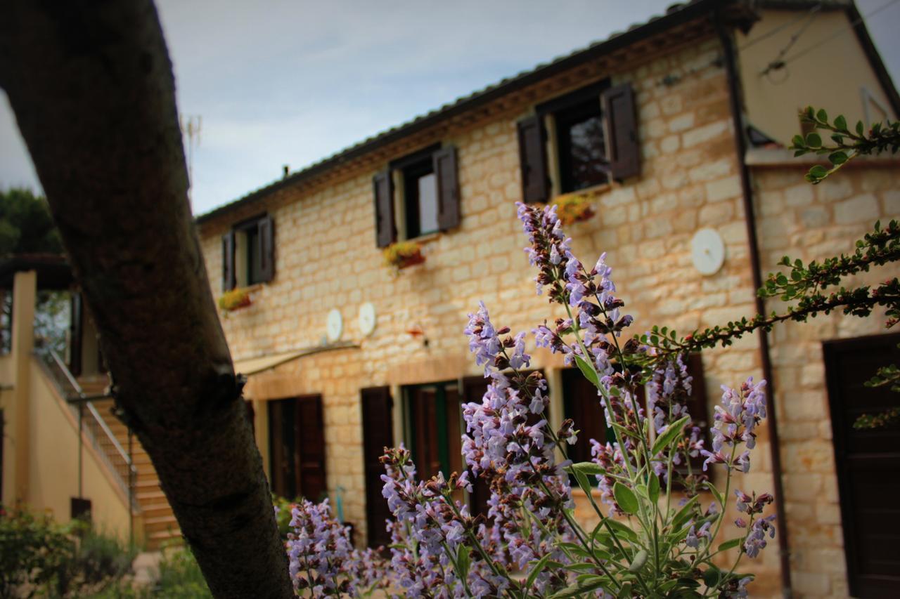 Bed and Breakfast Campo Del Mare Sirolo Exterior foto