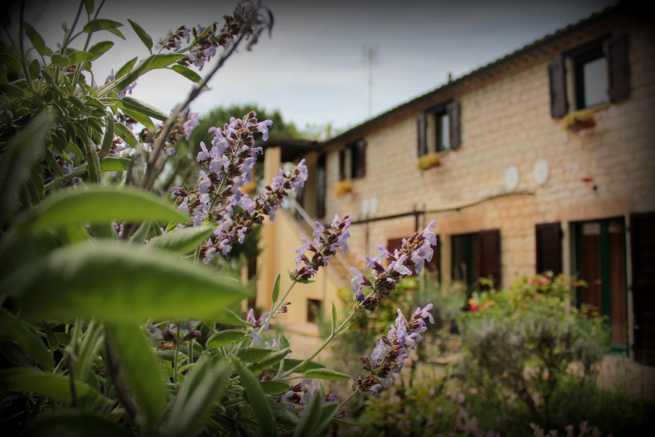Bed and Breakfast Campo Del Mare Sirolo Exterior foto